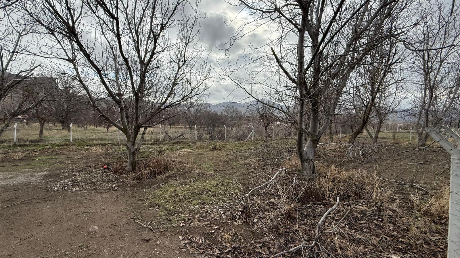 KAYSERİ DEVELİ GÜNEYAŞAĞI MAHALLESİNDE SATILIK HOBİ BAHÇESİ